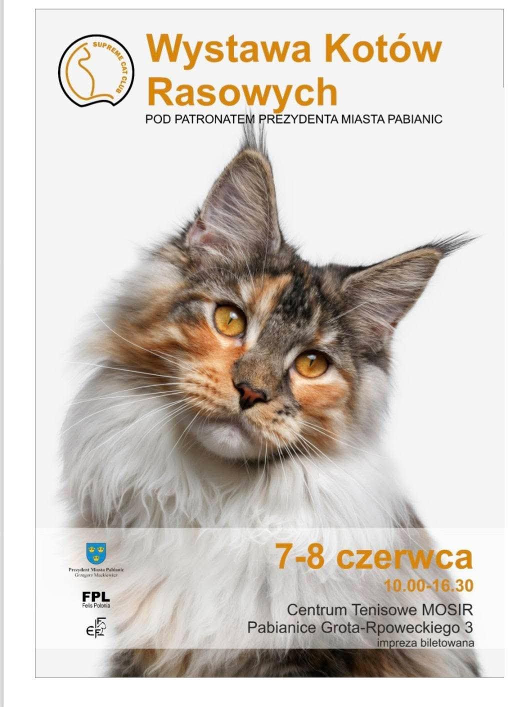 Międzynarodowa Wystawa Kotów Rasowych Pabianice