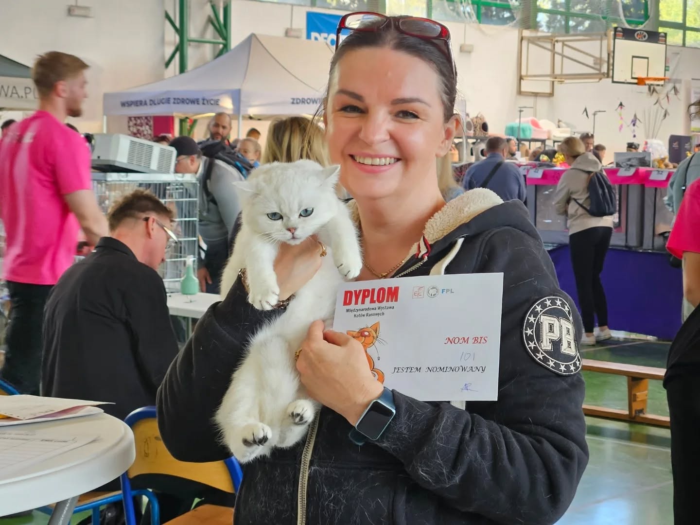 Adela Ars Britannica*PL na wystawie kotów FIFE