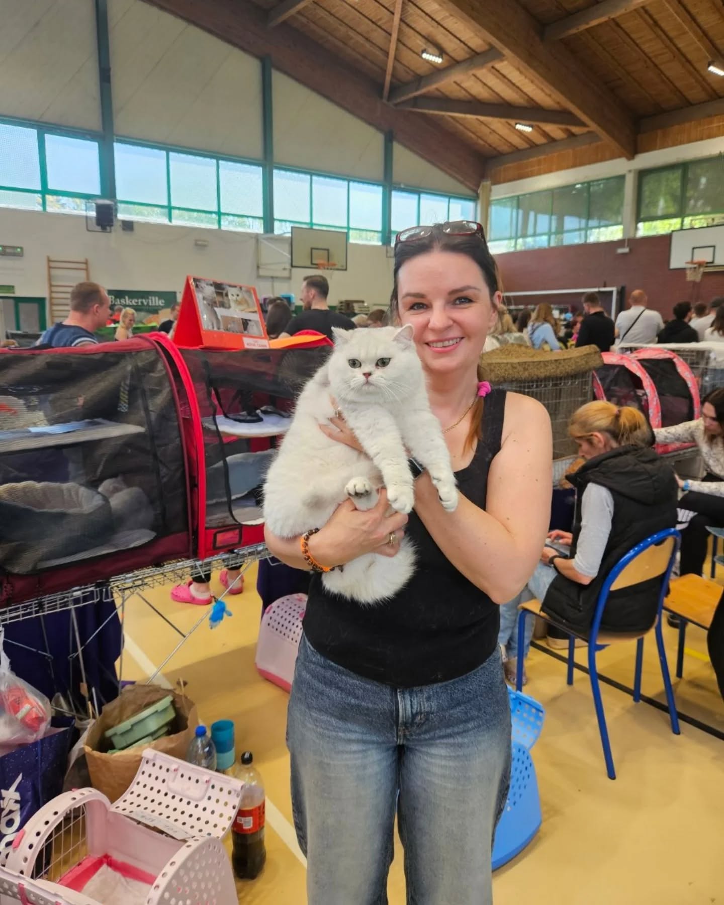 Ruslan Ars Britannica*PL na wystawie kotów FIFE