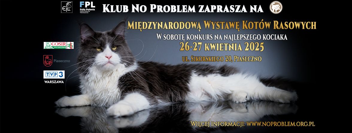 Wystawa kotów rasowych FIFE No Problem