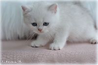 /louis