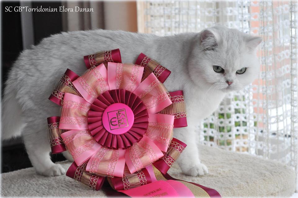 SC GB*Torridonian Elora Danan