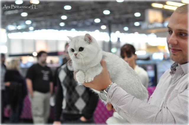 SC GB*Torridonian Elora Danan