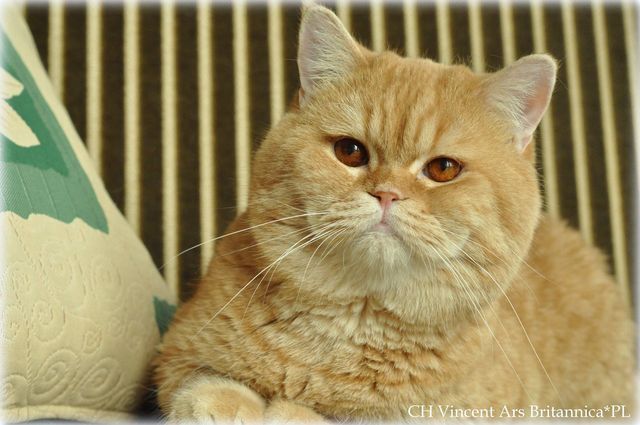 CH Hadrian Ars Britannica*PL