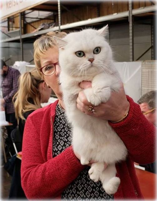 CH Semiramis von Burg Weissensee*DE