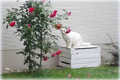 Lilly - Princes Tamirras*BE