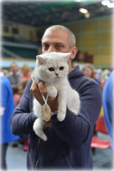 GB*Templegates PinUp Girl