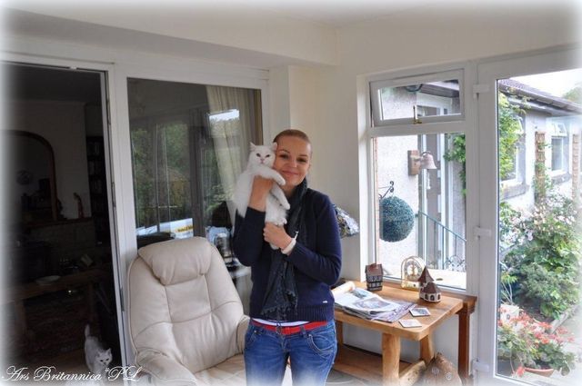 IC GB*Templegates Vivaldi