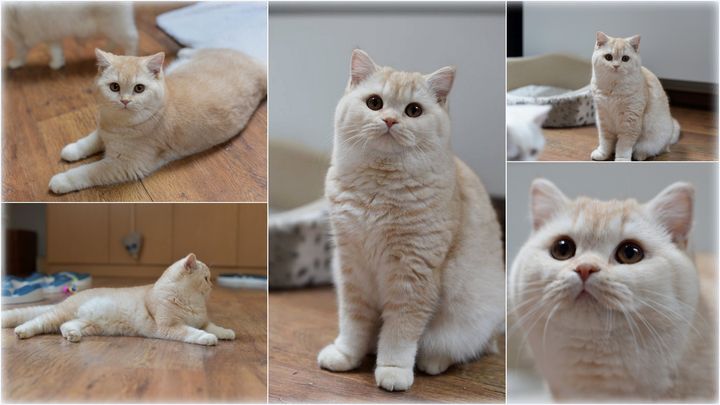 NL*Anyamanee Mdm.Yu Lan