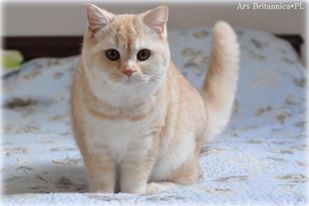 NL*Anyamanee Mdm.Yu Lan